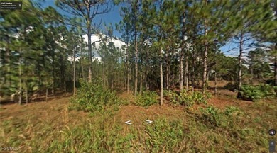 Lehigh Acres Area Lot For Sale in Lehigh Acres Florida