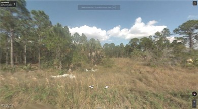 Lehigh Acres Area Lot For Sale in Lehigh Acres Florida