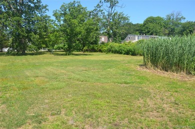 Rare opportunity to own a spectacular bayfront property - photo 6