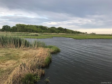 Rare opportunity to own a spectacular bayfront property - photo 8