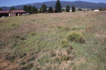 Lake Lot Off Market in Eagle Nest, New Mexico