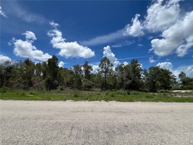 Lehigh Acres Area Lot For Sale in Lehigh Acres Florida