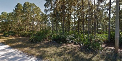 Lehigh Acres Area Lot For Sale in Lehigh Acres Florida
