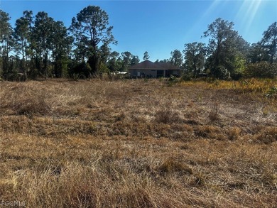 Lehigh Acres Area Lot For Sale in Lehigh Acres Florida