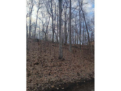 Big Turkey Lake Lot For Sale in Lagrange Indiana