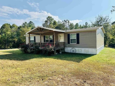 Lake Home For Sale in Selmer, Tennessee