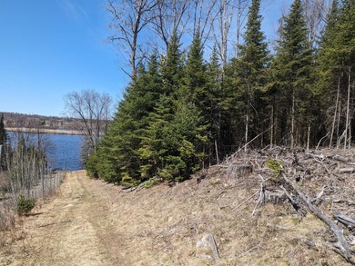 Additional listing photo 1