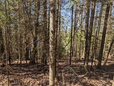 Additional listing photo 2