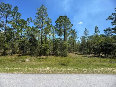 Bonable Lake Lot For Sale in Dunnellon Florida