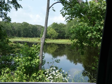 (private lake, pond, creek) Acreage For Sale in Mount Pleasant Texas