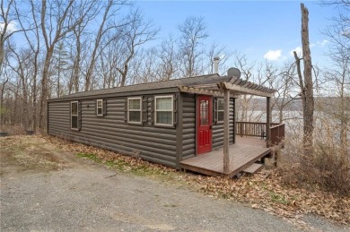 Lake Home For Sale in Hector, New York