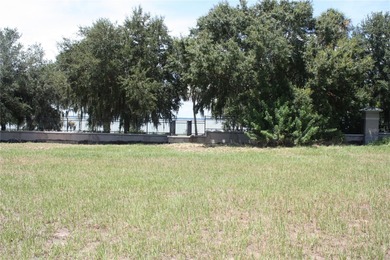 Lake Eustis Lot For Sale in Tavares Florida