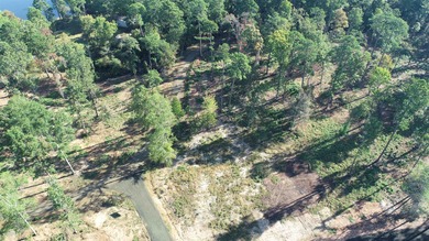 Toledo Bend Lake Acreage For Sale in Milam Texas