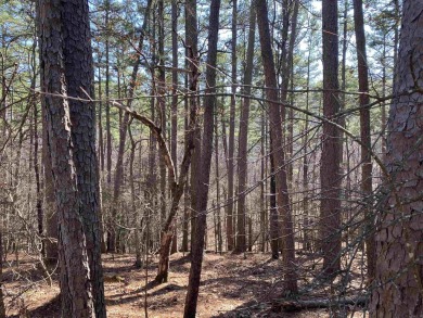 This wooded home lot would be a great spot for your lake cabin - photo 2