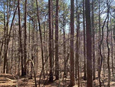 This wooded home lot would be a great spot for your lake cabin - photo 3