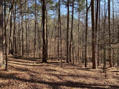 This wooded home lot would be a great spot for your lake cabin - photo 4