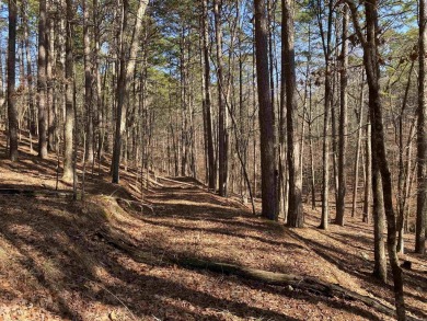 This wooded home lot would be a great spot for your lake cabin - photo 5