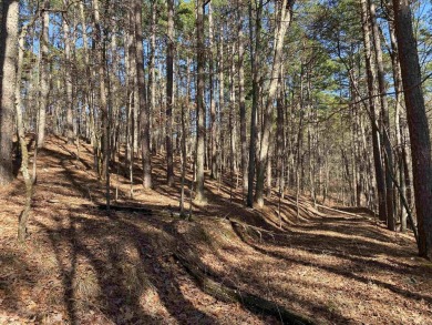This wooded home lot would be a great spot for your lake cabin - photo 6