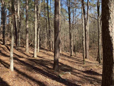 This wooded home lot would be a great spot for your lake cabin - photo 7