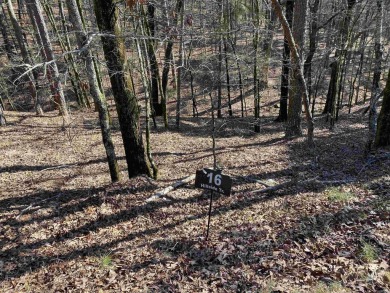 This wooded home lot would be a great spot for your lake cabin - photo 8