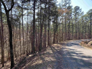 This wooded home lot would be a great spot for your lake cabin - photo 9