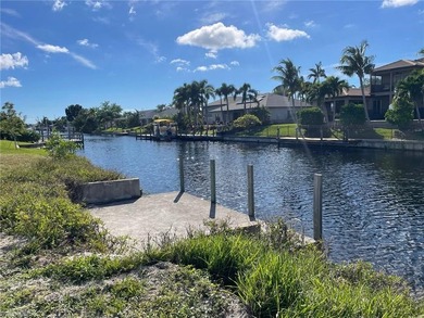 Beautiful Gulf access lot in a quiet and preferred SW Cape Coral - photo 3