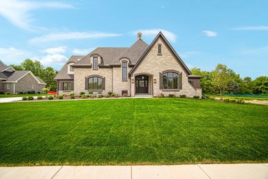 Welcome to this stunning custom-built new construction home - photo 47