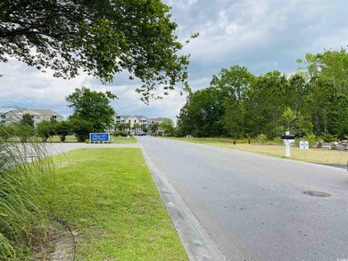 Fantastic Commercial lot located in Queens Harbour Professional - photo 4