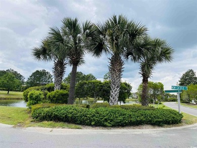 Fantastic Commercial lot located in Queens Harbour Professional - photo 9