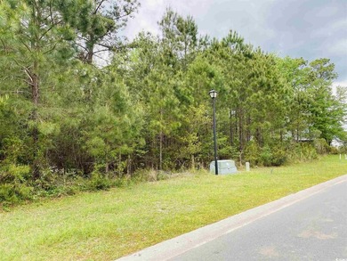 Fantastic Commercial lot located in Queens Harbour Professional - photo 10