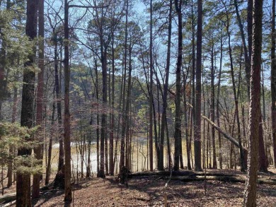 Lake Acreage For Sale in Mount Ida, Arkansas