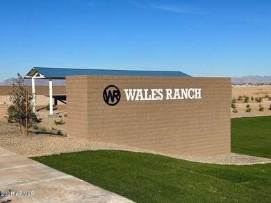 Beautiful NEW Home in PRIME San Tan Valley location, close - photo 31