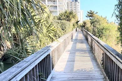 Please check out virtual tour. This property has a very healthy - photo 2