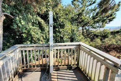 Please check out virtual tour. This property has a very healthy - photo 5