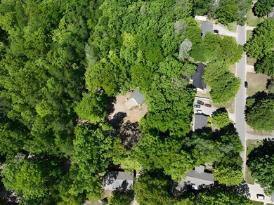 Build-Ready Residential Lot Near Houghton Lake! Opportunity - photo 12