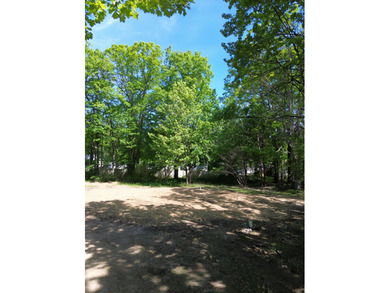 Build-Ready Residential Lot Near Houghton Lake! Opportunity - photo 14