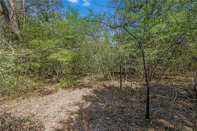Want room to spread out near the water? These three wooded lots - photo 10