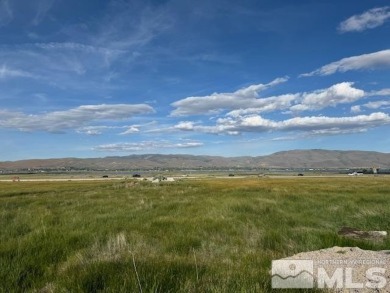 Washoe Lake Acreage For Sale in Washoe Valley Nevada