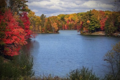 Lake Lot For Sale in Canadian Lakes, Michigan