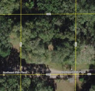 Lake Lynn Lot For Sale in Silver Springs Florida