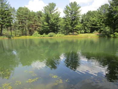 Kilkenny Lake  Lot For Sale in Stanwood Michigan