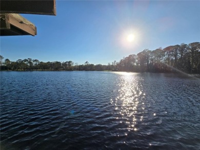 Lake Lot For Sale in Odessa, Florida
