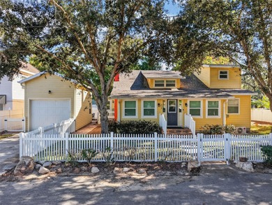 Lake Dora Home For Sale in Mount Dora Florida