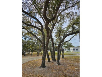 Possibilities ENDLESS!!! This unique property on 4 lots with - photo 12