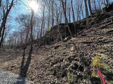 Discover Secluded Acres, a rare chance to own lakefront property - photo 14