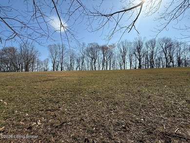Discover Secluded Acres, a rare chance to own lakefront property - photo 21