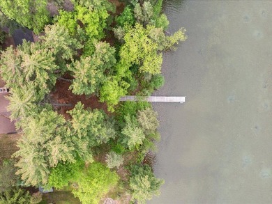 Welcome to classic lake life on highly sought-after Ten Mile - photo 25