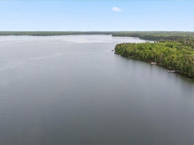 Welcome to classic lake life on highly sought-after Ten Mile - photo 31