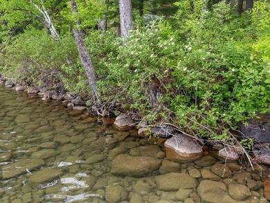 Welcome to classic lake life on highly sought-after Ten Mile - photo 41