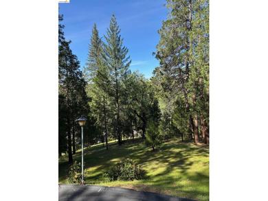 Well maintained home on a quiet street, with pleasant views and - photo 46